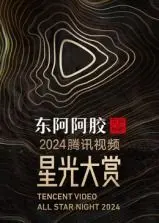 燃爆星光夜！《2024腾讯视频星光大赏》全程回顾：顶流云集，精彩瞬间大盘点！